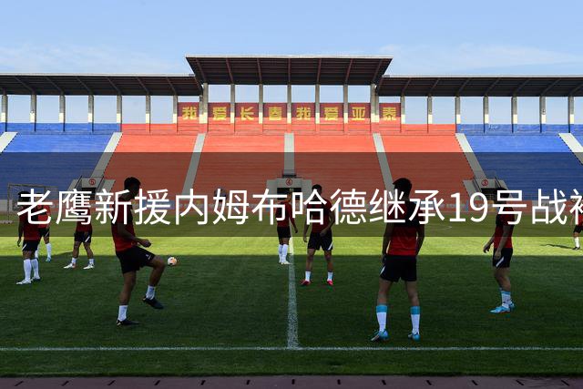 老鹰新援内姆布哈德继承19号战袍 传承斯内尔衣钵